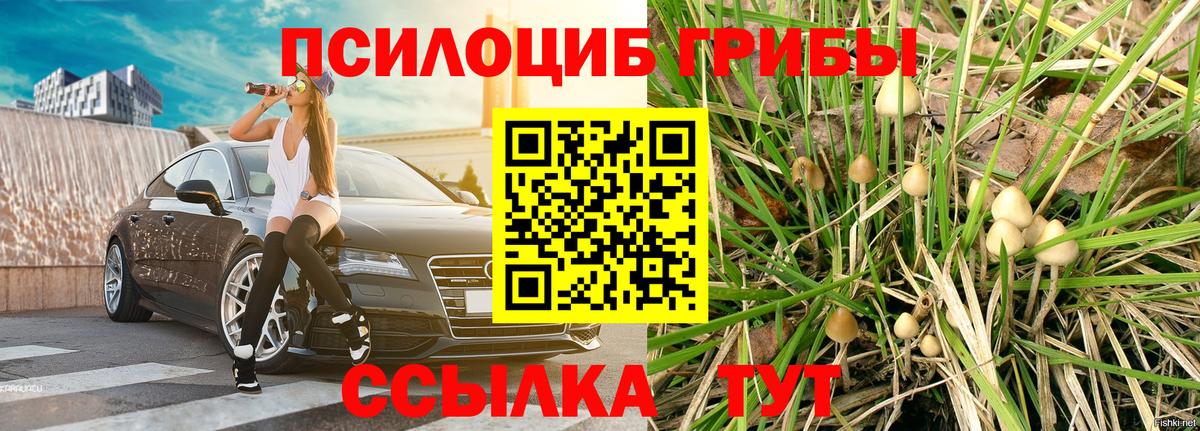 где можно купить   Вход с VPN  Галлюциногенные грибы мухоморы  Тосно  Псилоцибиновые грибы Psilocybine cubensis 