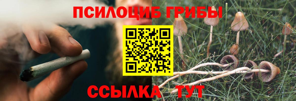 Бутират Тосно